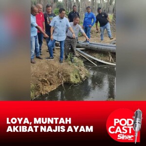 Penduduk alami simptom kesihatan akibat pembuangan sisa najis ayam