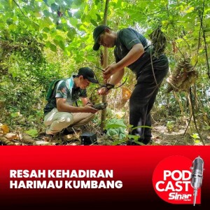 Penduduk resah kehadiran 'si kumbang'