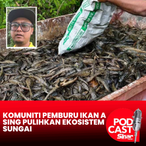 Komuniti Pemburu Ikan Asing pulihkan ekosistem sungai