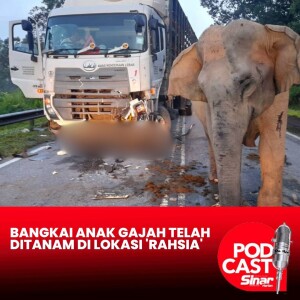 Bangkai anak gajah telah ditanam di lokasi 'rahsia'