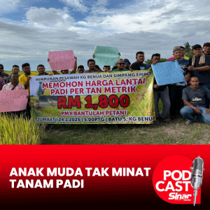 Isu dihadapi pesawah punca anak muda tidak minat tanam padi