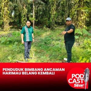 Penduduk bimbang ancaman harimau belang kembali