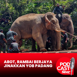 Abot, Rambai berjaya jinakkan Yob Padang