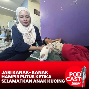 Jari hampir putus ketika selamatkan anak kucing