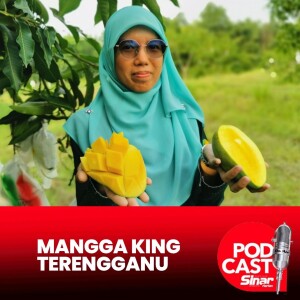 Mangga King Terengganu setanding Harum Manis Perlis