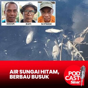 Ikan mati: Penduduk bimbang keadaan Sungai Rinting