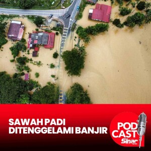 93 pesawah rugi besar, bendang jadi 'lautan'