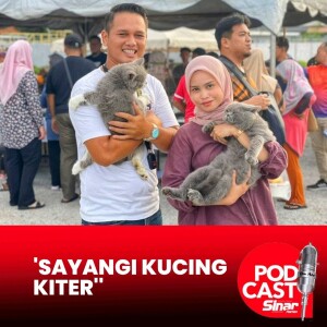 80 ekor kucing hiburkan pengunjung Payang Walk