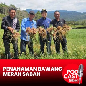 Sabah bakal keluarkan hampir 10 tan bawang merah Kundasang