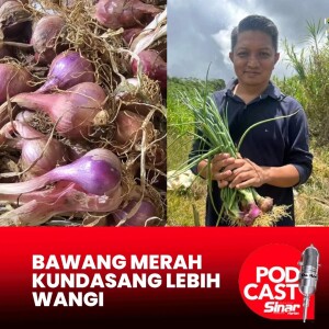 Bawang merah Kundasang lebih wangi, berjus