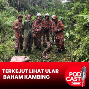 Misteri kehilangan kambing betina terjawab