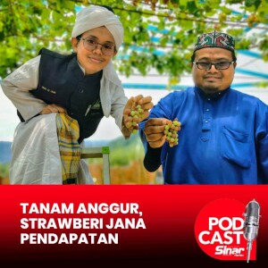 Pusat tahfiz tanam anggur, strawberi jana pendapatan