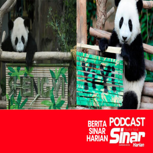 Panda Zoo Negara ’tamat kontrak’ I SEMASA