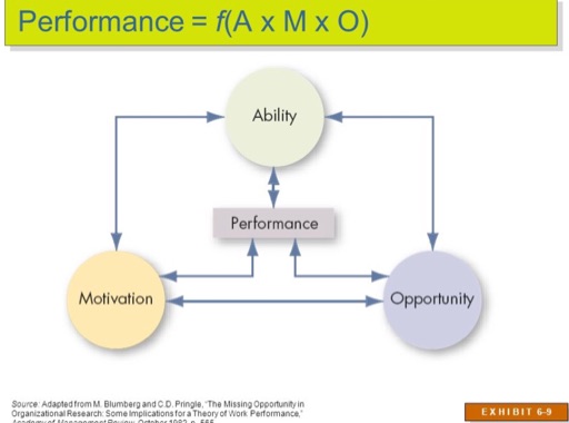 EP 90 AMO Theory for HRM