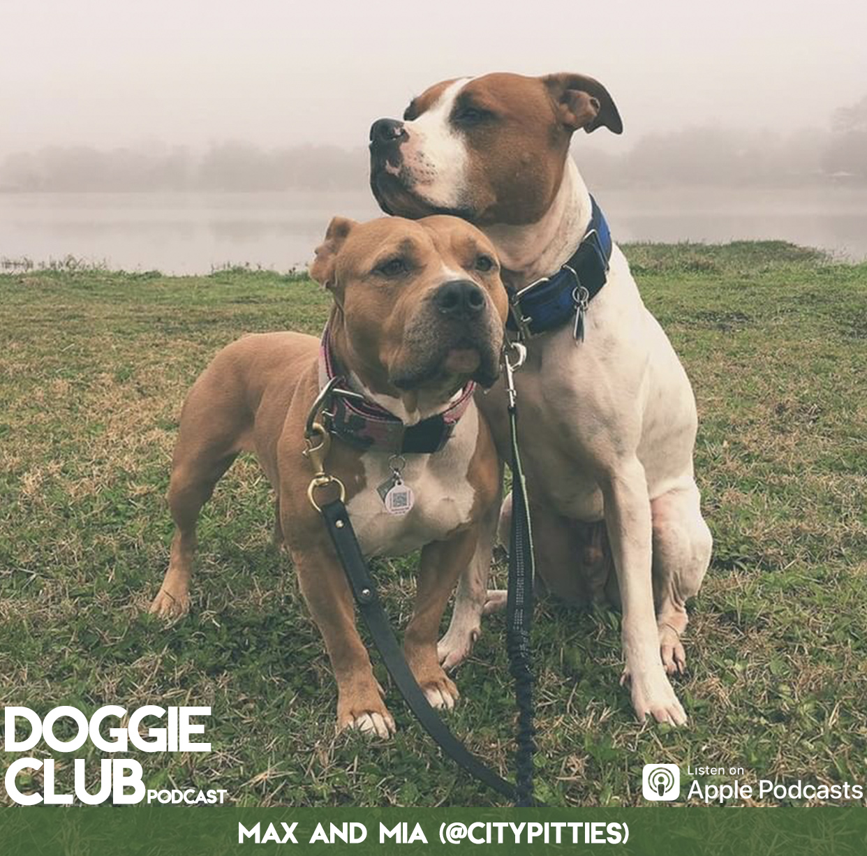 Doggie Club