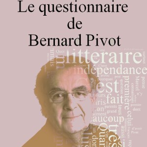 Episode 112.5 - Le questionnaire de Pivot Warmup