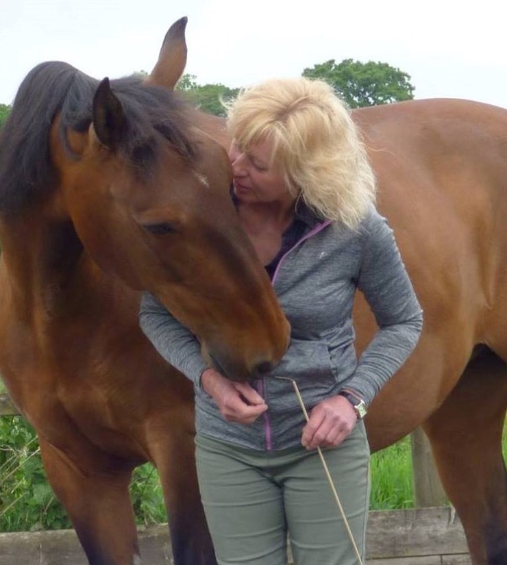 Liberty Connections: Why “Sharing Territory” is so important for you and your horse!