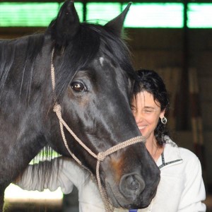 Hidden Promise: Wisdom Horses Share with Kim Cardeccia
