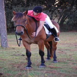 Dressage Positively: Simple and Versatile Training Tactics for When You Can’t Ride Your Horse – Part 1