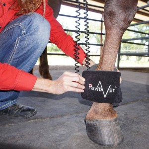 RevitaVet: What is it and how do I use it for Preventative Maintenance on my horse?