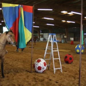 Passionate Horsemanship: Have you considered these trail obstacles?