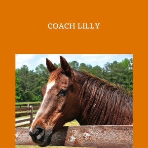Schelli Whitehouse: Horse Sense for Humans with Coach Lily: A Mother's Heart