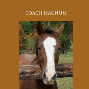 Schelli Whitehouse: Horse Sense for Humans with Coach Magnum: Activating a Healer