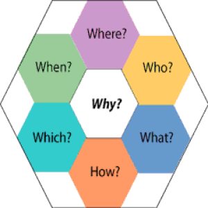 Wh-Questions with Action Verbs in the Simple Present Tense