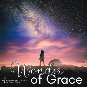 "The Source and Shock of Grace" - Rev Robbie Ytterberg