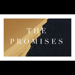 The Promises Week 4