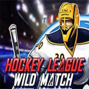Sport cu Hockey League Wild Match