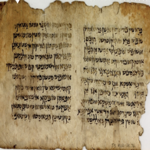 The Dead Sea Scrolls Part I - Aramaic Targum