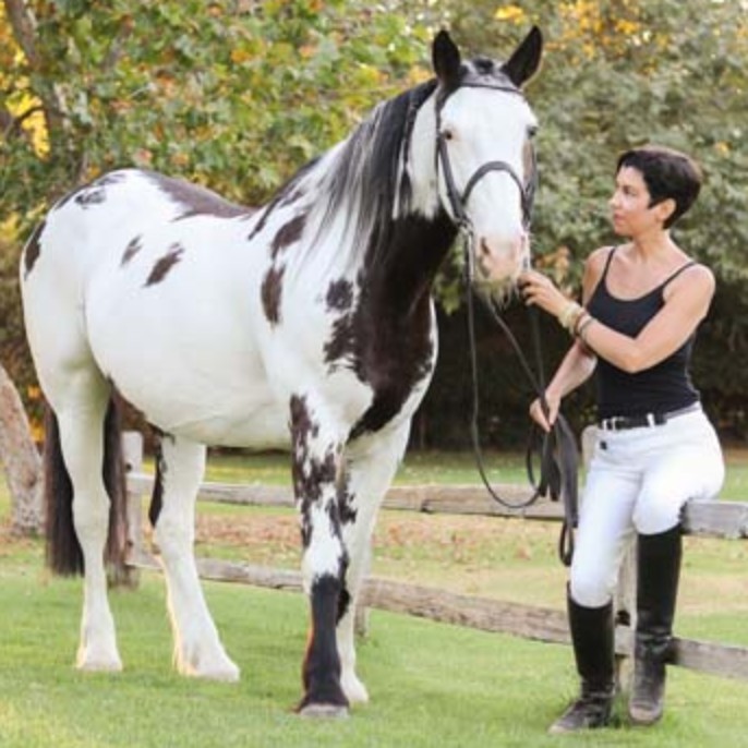 Equestrian Author Spotlight Podcast