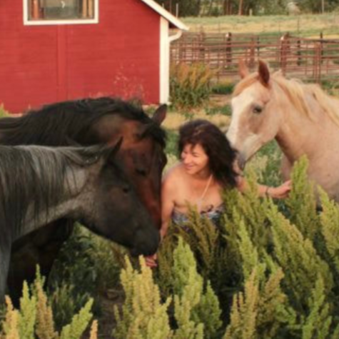 Equestrian Author Spotlight Podcast