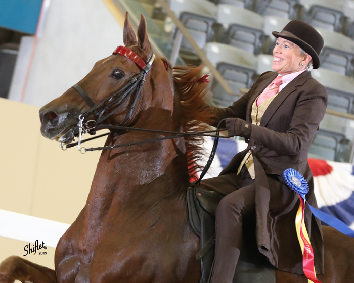 Equestrian Author Spotlight Podcast