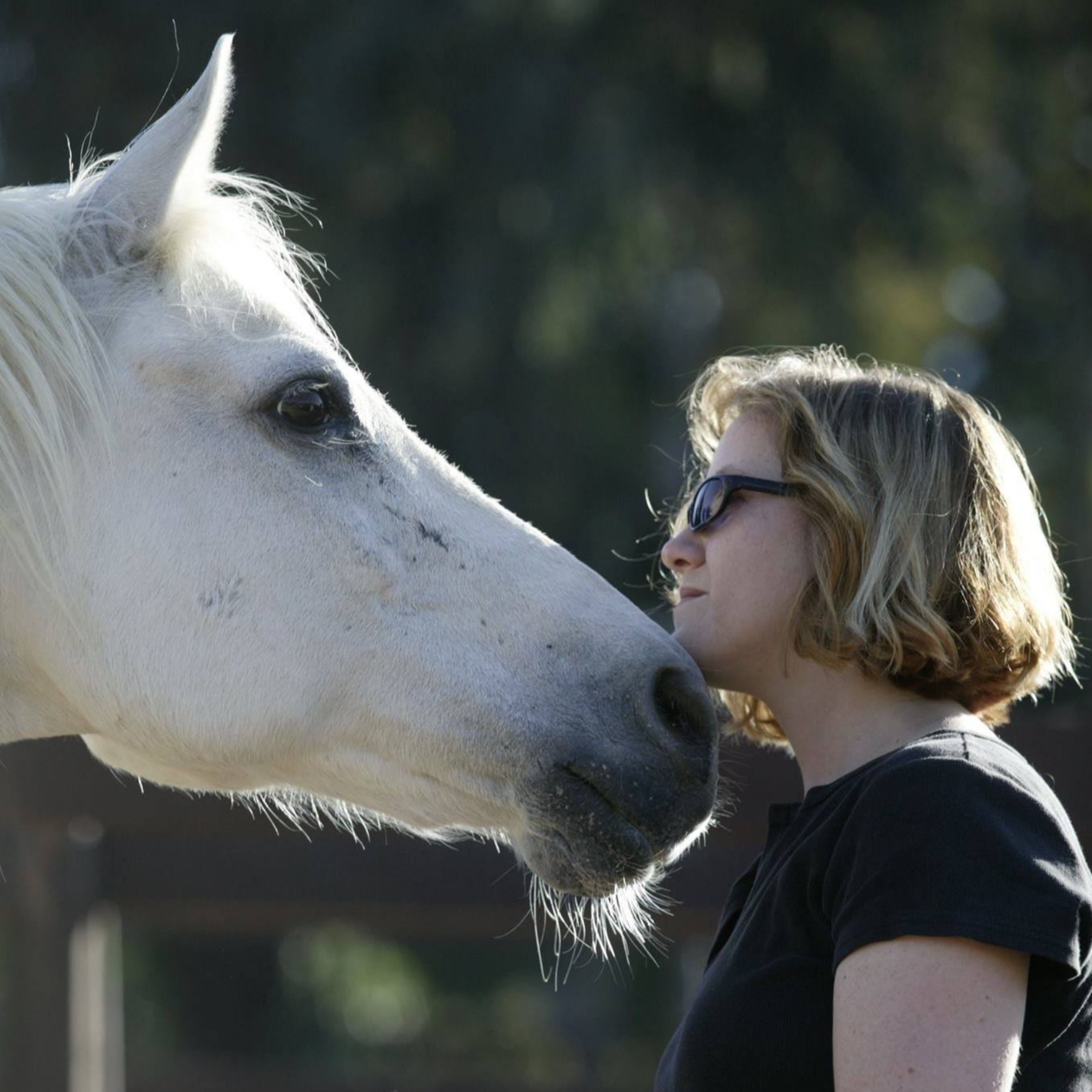 Equestrian Author Spotlight Podcast