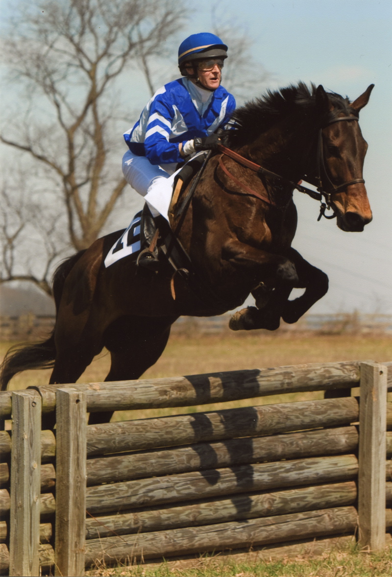 Equestrian Author Spotlight Podcast