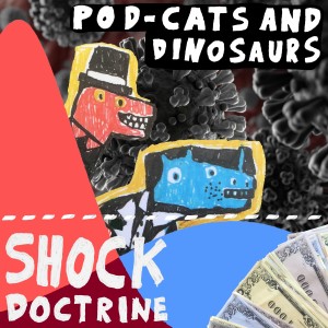 Avsnitt 9: Shock Doctrine
