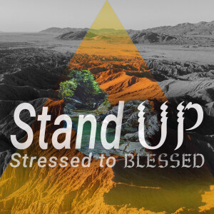 Stand Up (From Stressed to Blessed pt 4)