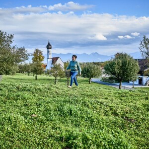 Audiotravels: Roadtrip zu den bayerischen Streuobstwiesen