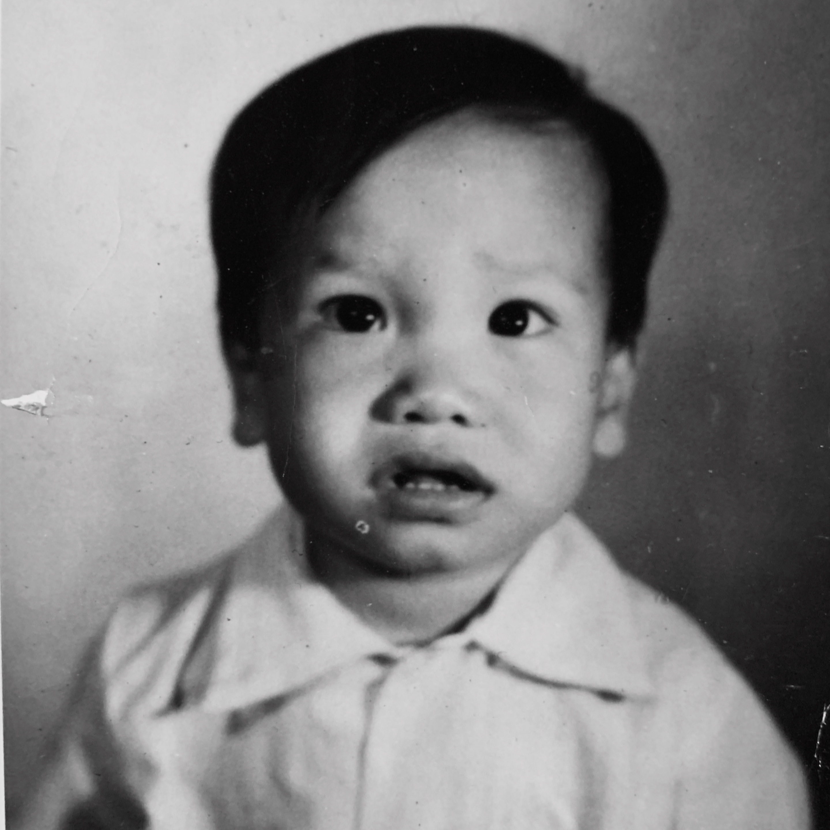 The Vietnamese Boat People