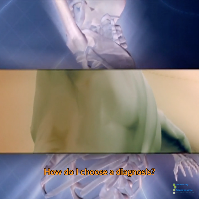 Chiropractic - Dr. Mark Studin- Doctors PI Program