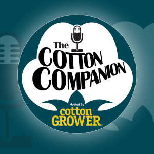 Episode 33 – Cotton and the Chinese Trade Dispute