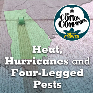 Heat, Hurricanes and Four-Legged Pests