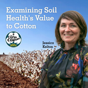 Examining Soil Health’s Value to Cotton