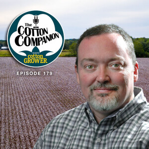 Cotton's New Year: What's Happened, What's New and What's Next for 2025?