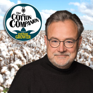 Have Environmentalists Damaged Cotton Demand?