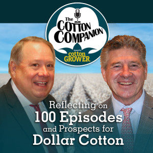 Reflecting on 100 Episodes and Prospects for Dollar Cotton