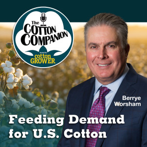 Feeding Demand for U.S. Cotton