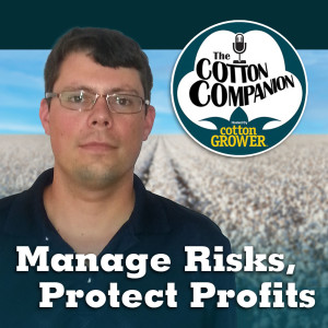 Manage Risks, Protect Profits